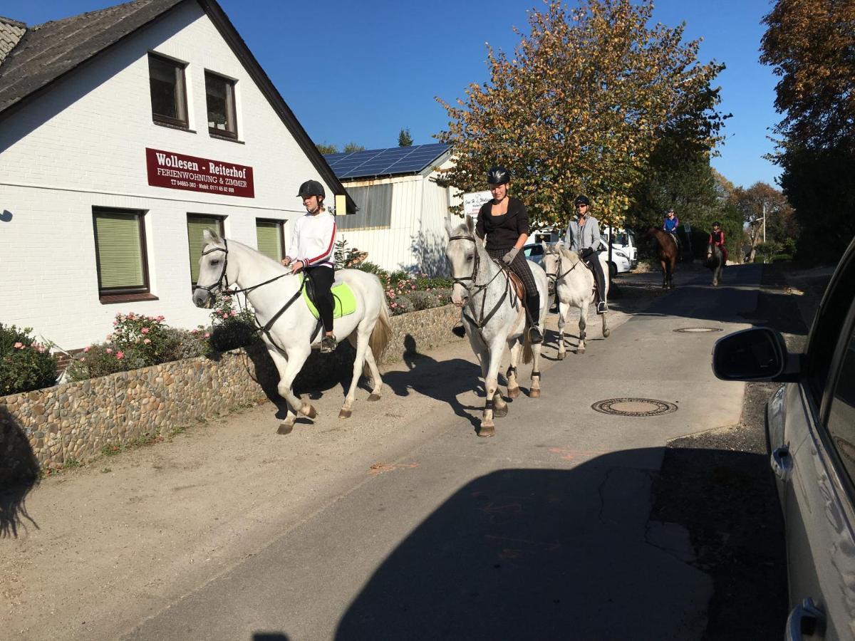 Reiterhof Wollesen Hotel Süderlügum Eksteriør billede